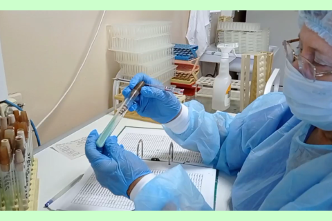 Н.А. Сокольникова, врач-бактериолог