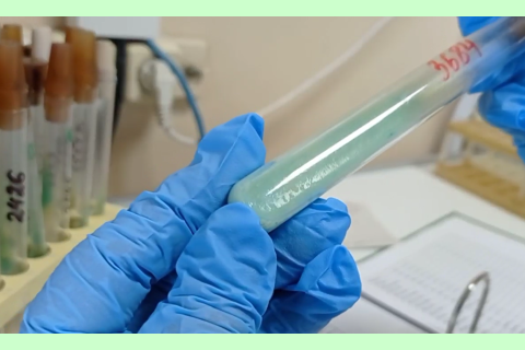 кадры из лаборатории